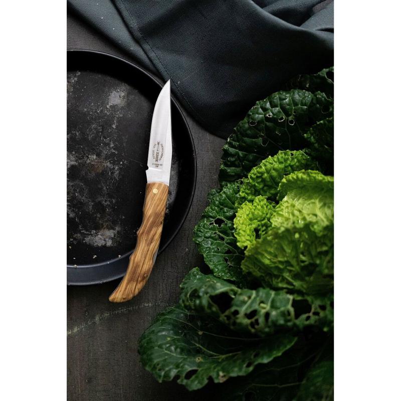 Taschenmesser Olivenholzgriff 9cm