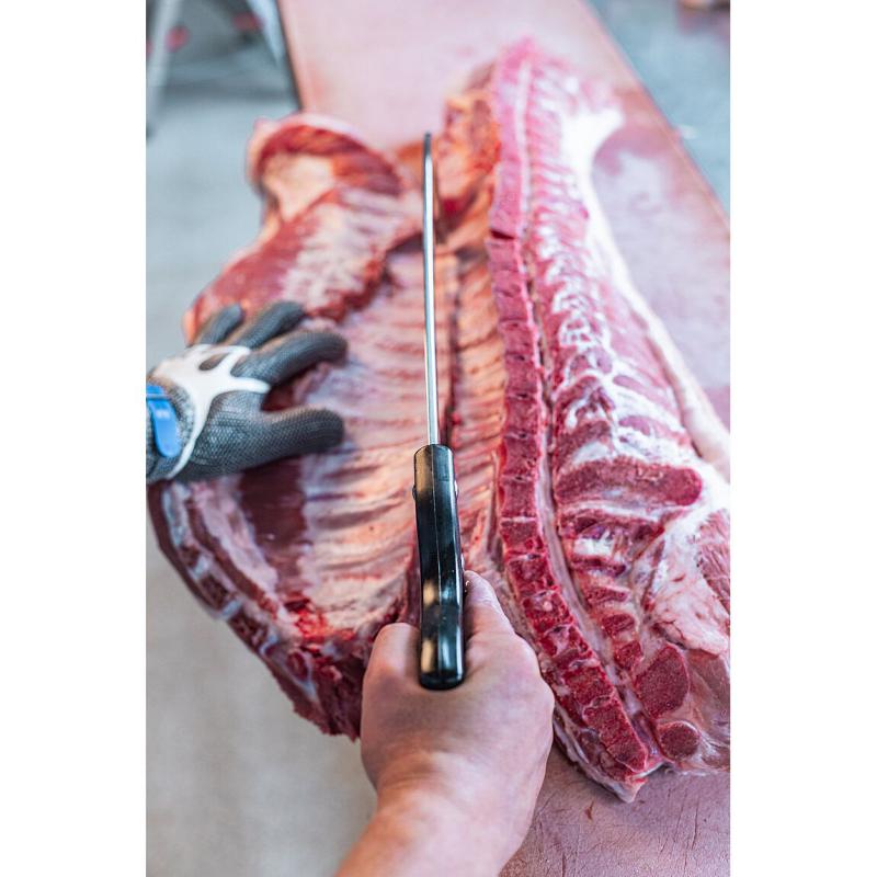 Bogens&auml;ge Schnellspannvorrichtung 50cm 